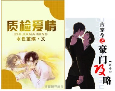 《古穿今之豪门攻略/古穿今之质检爱情》