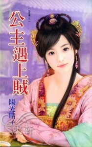 《公主遇上贼(贼保镖之一)》