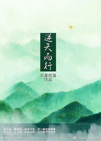 《(择天记同人)择天记之逆天而行》