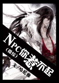 《(微综同人)之NPC你惹不起》