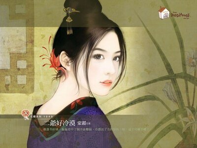 《二爷好冷漠+浪子真花心+神医太龟毛(小婢点君系列)》