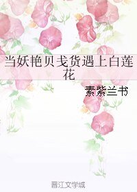 《当妖艳贝戋货遇上白莲花》