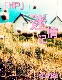 《(HP同人)迷情记》