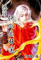《鸿雁何处是归途》