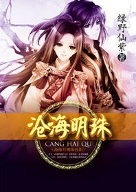 《穿越重生闯江湖:沧海明珠》
