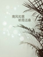 《南风知意》