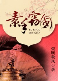 《素手窃国》