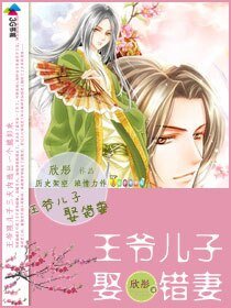 《王爷儿子娶错妻》