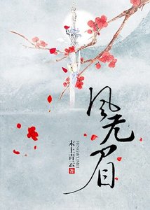 《风无眉》