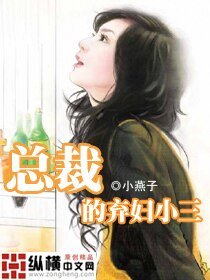 《总裁的弃妇小三》