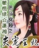 《恶俗穿越之失宠王妃》