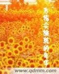 《右指尖旋转的年华》