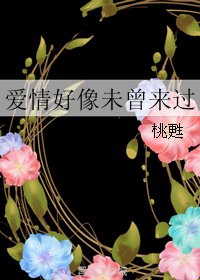 《爱情好像未曾来过》