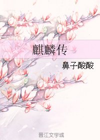 《麒麟传》