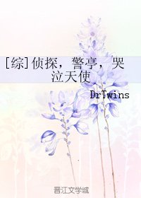 《(BG/综同人)侦探,警亭,哭泣天使》