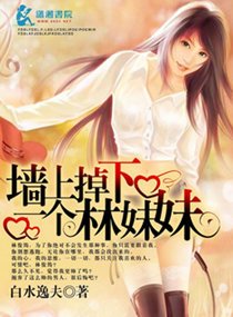 《墙上掉下一个林妹妹》