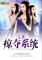 《女神掠夺系统》