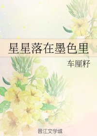 《星星落在墨色里》