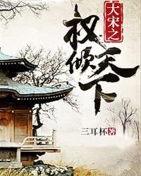 《大宋之权倾天下》