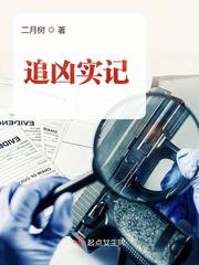 《追凶实记》