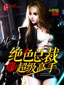《女总裁超级高手叶无道》