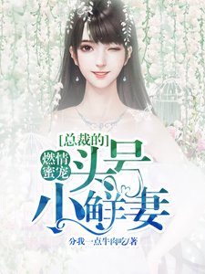 《燃情蜜宠:总裁的头号小鲜妻》