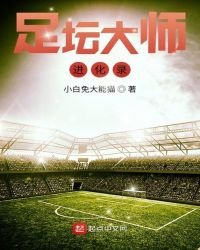 《足坛大师进化录》