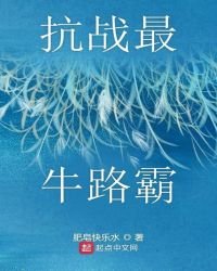 《抗战最牛山寨》