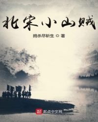 《北宋小山贼》