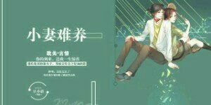 《小妻难养》
