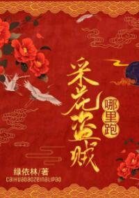 《采花盗贼,哪里跑!》
