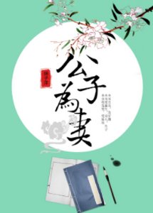 《公子为妻》