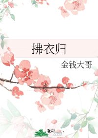 《拂衣归》