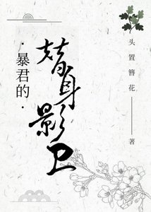 《暴君的“替身”影卫》