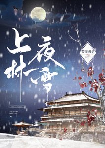 《上林夜雪/我逼宫那些年》
