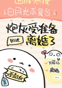 《炮灰受准备离婚了》