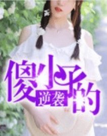 《傻小子的逆袭》