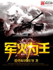 《军火为王》
