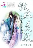 《傲娇灵族:邪魅王与万恶妃》