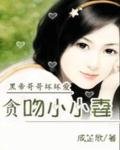 名门逼婚：男神的美妻