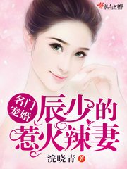 《良辰美妻》
