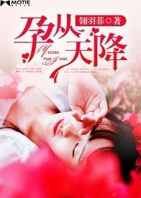 《孕从天降》