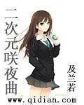 《二次元咲夜曲》
