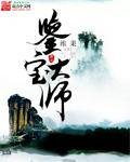 《鉴宝大师》