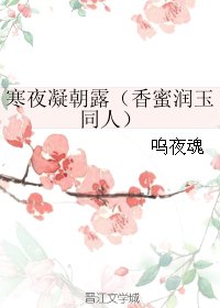 《(BG/香蜜润玉同人)寒夜凝朝露》