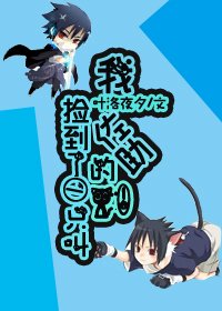 《(BG/无限同人)无限之我捡到一只叫佐助的猫》