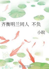 《(BG/知否同人)齐衡明兰同人 不负》