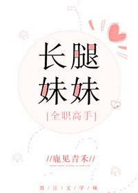 《(BG/全职高手同人)长腿妹妹 》