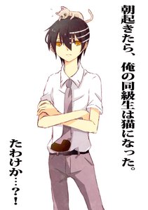 《(噬魂师同人)早上醒来我的同学变成了猫》