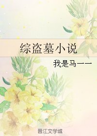 《(BG/综同人)综盗墓小说》